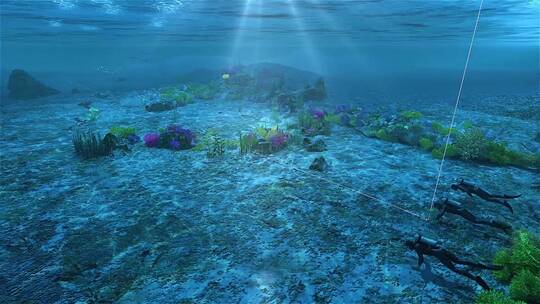 海底 潜水人 海底世界 海底潜水 海底珊瑚