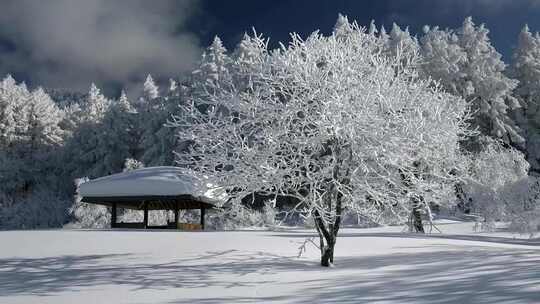 冬季雾凇雪景雪地雪山森林雪景