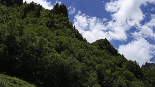 青海互助扎龙沟景区延时摄影视频