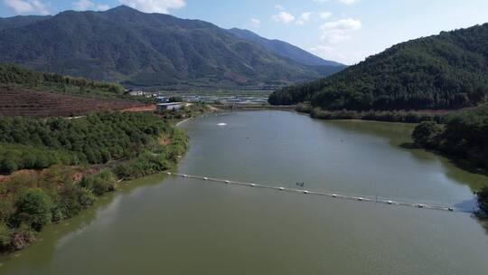 渔场 水库 养殖鱼 生态鱼养殖基地