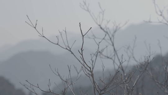 中国长城 长城空镜