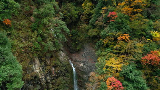 无人机航拍秋天彩林瀑布大山深处美景