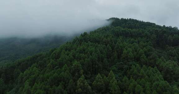 青山薄雾秋天自然航拍风景美丽大山雾气飘渺