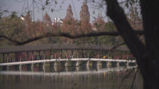 诗画江南 浴鹄湾园林建筑 杭州西湖东方美学