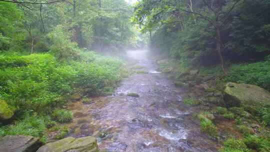 治愈风景航拍绿色森林晨雾中的清澈溪流