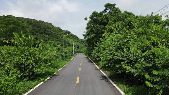 乡村道路航拍