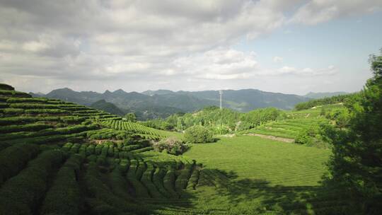 航拍山脉茶田/盆地/梯田/广告可用