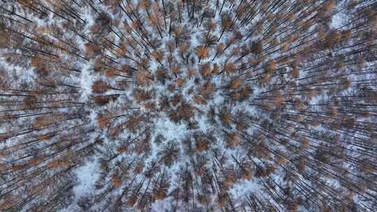 航拍东北下暴雪林海雪原威虎山