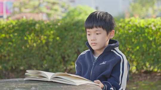 小男孩看书 校园看书阅读 美好时光视频素材模板下载