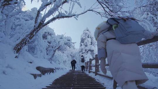 大雪后峨眉山游客艰难的登山