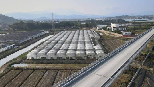 大气 航拍 福建 泉州 农场 农业 美景视频素材模板下载