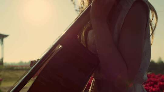 女人，演奏，大提琴，郁金香