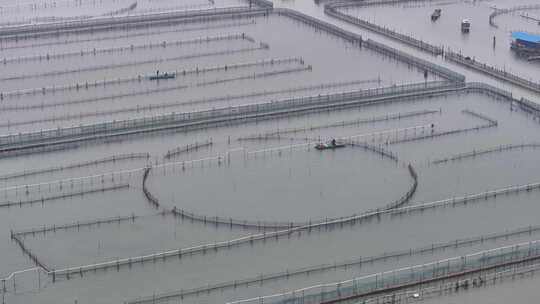 阳澄湖核心区航拍高清素材