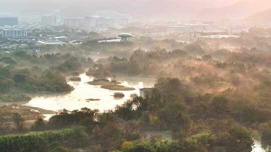 杭州秋天 西溪湿地 手摇船 湿地博物馆