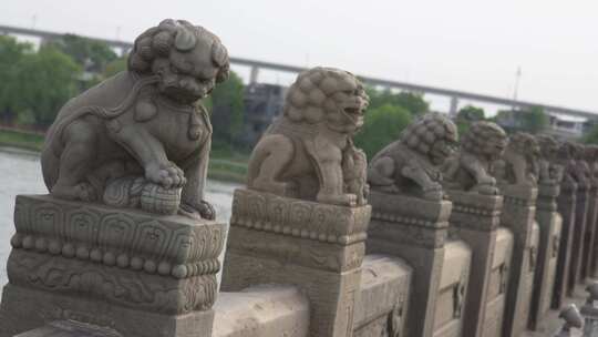 卢沟桥上的石狮子