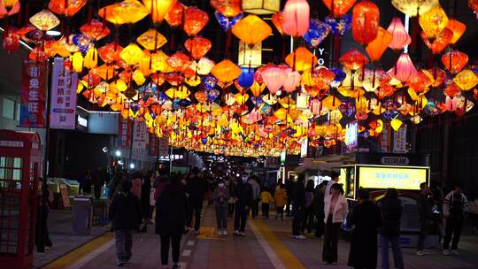 正月十五元宵节市民赏花灯活动视频素材模板下载