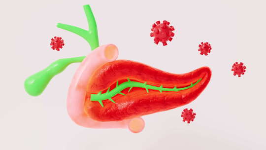 人类胰腺炎病毒感染动画视频素材模板下载