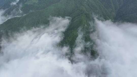 自然风景山区清晨云海翻腾直录4K航拍唯美