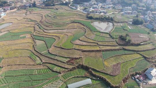 航拍春耕农田农业大棚种植基地农作物视频素材模板下载