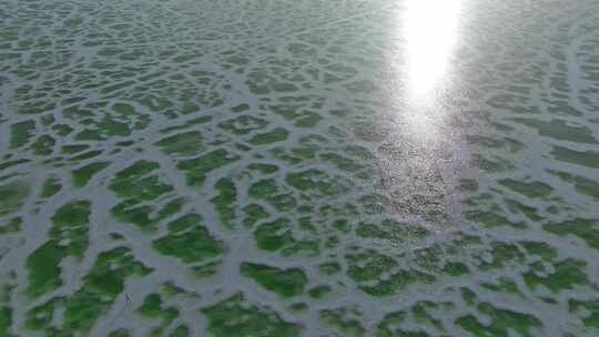 青海茫崖翡翠湖航拍视频素材模板下载