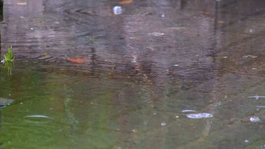 城市马路道路下暴雨下雨天雨水雨滴大自然风