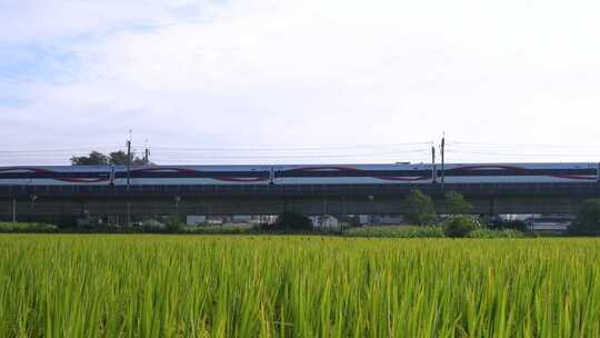 韶关浈江区重阳镇水口村田园与列车