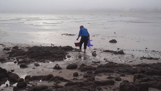 渔民赶海挖海鲜贝类沙滩海边退潮捕鱼生活