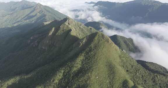 信宜茶山镇公婆石，十二灶顶云海航拍