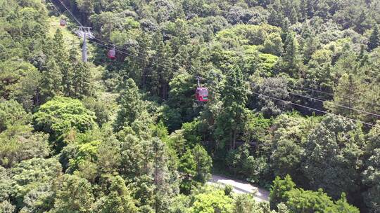 森林索道缆车航拍树林俯拍视频素材模板下载