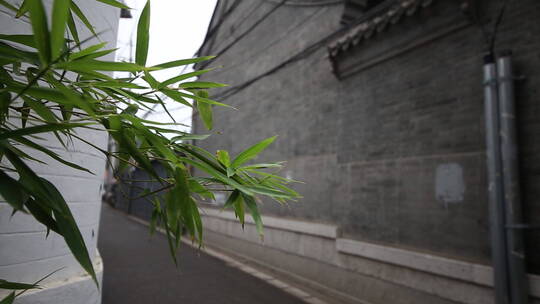 北京胡同人文生活北京四合院