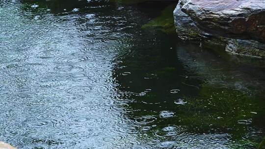 夏季阴雨天气池塘雨滴水面水花特写