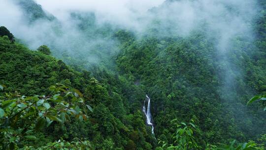 4K高清山区山泉水升格清澈流水降水