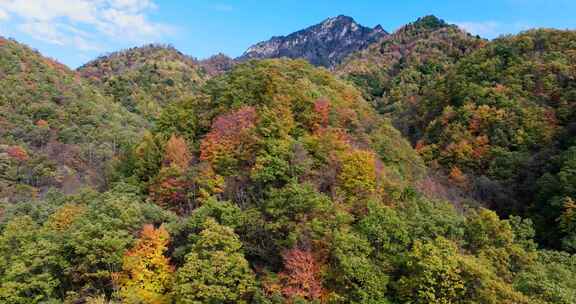 秦岭秋天