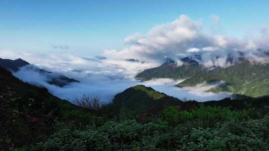 早晨桂林天湖高山峡谷中的云海和高山杜鹃