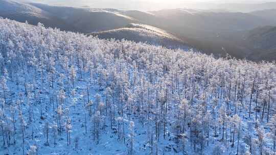 夕阳下林海雪原唯美雾凇