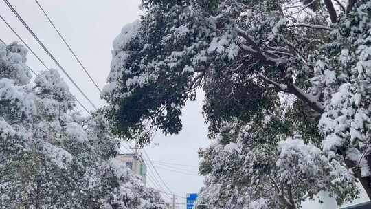 道路积雪结冰清理铲雪清理5视频素材模板下载