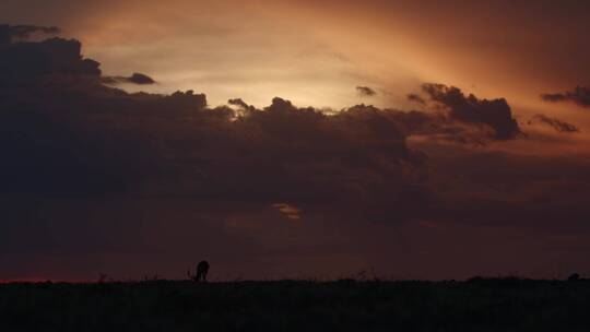 肯尼亚草原的日落