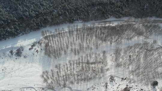 青海互助龙王山森林雪景航拍视频