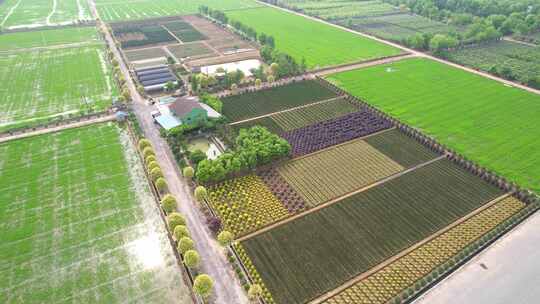 乡村花木种植农场航拍