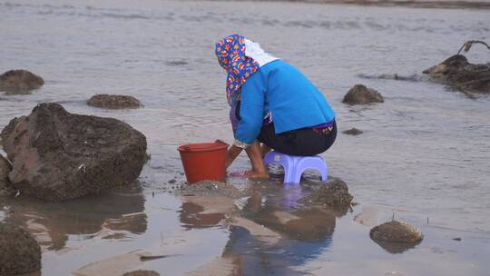 惠安女赶海挖海鲜渔民沙滩海边退潮捕鱼生活