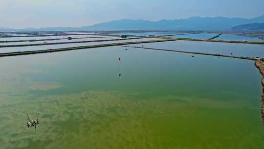 霞浦 鱼虾养殖业 水产养殖业