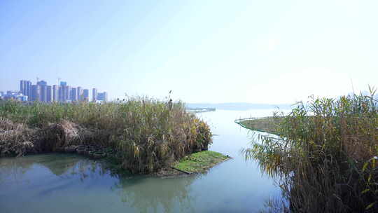 武汉洪山区南湖花溪公园风景