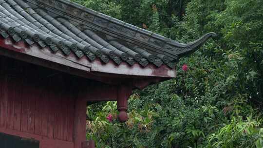 重庆雨季下雨屋檐实拍