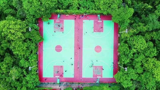 树林中间的篮球场打篮球绿色天然氧吧