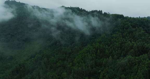 青山薄雾秋天自然航拍风景美丽大山雾气飘渺