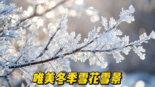 冬季雪花雪景雾凇冰花立冬大寒