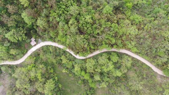 航拍山中蜿蜒道路