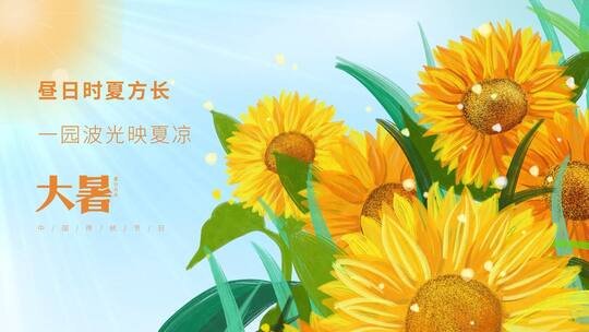 原创夏季大暑节气向日葵清新片头AE视频模板