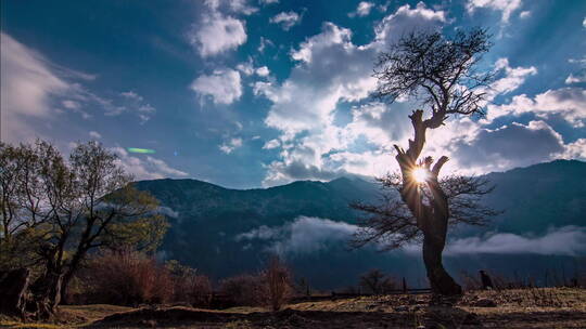 延时拍摄蓝天白云古树高山湖泊