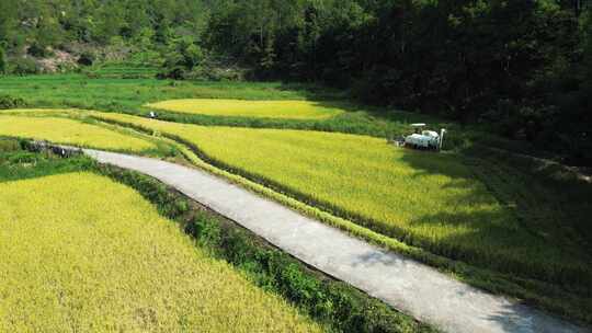 乡村振兴 农田